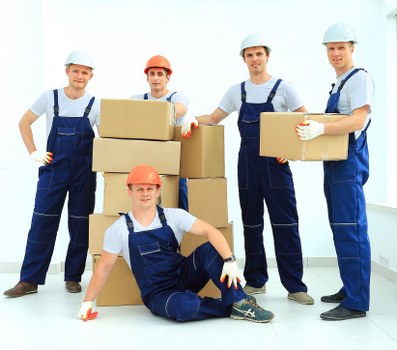 Specialist removals support in Eelpieisland