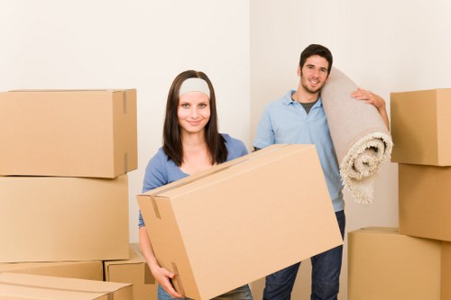 Furniture and electronics protected in organized storage